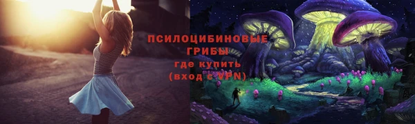 гидра Нягань