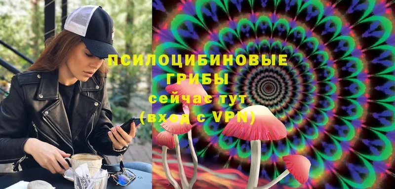 Псилоцибиновые грибы MAGIC MUSHROOMS  Зеленоградск 