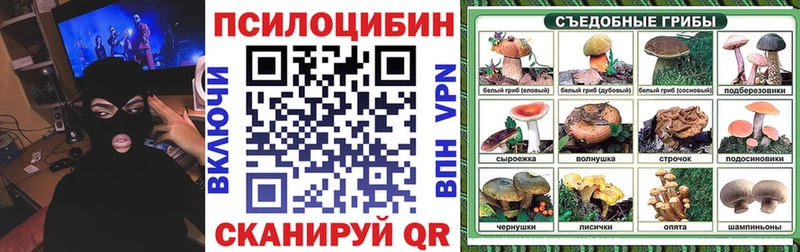 blacksprut маркетплейс  Зеленоградск  Галлюциногенные грибы MAGIC MUSHROOMS  наркошоп 